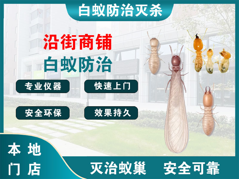宜兴市沿街商铺白蚁防治