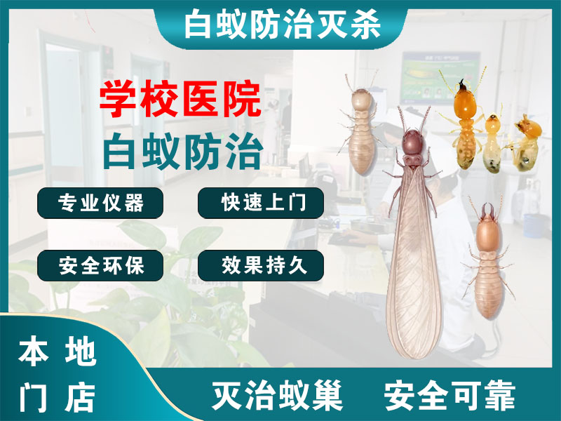 宜兴市学校医院白蚁防治