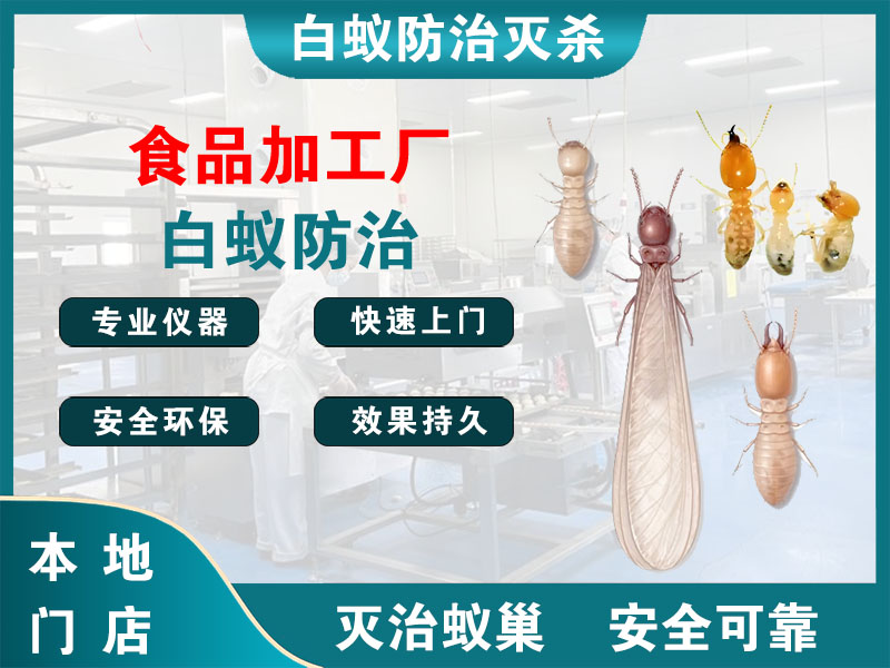 宜兴市食品加工厂白蚁防治