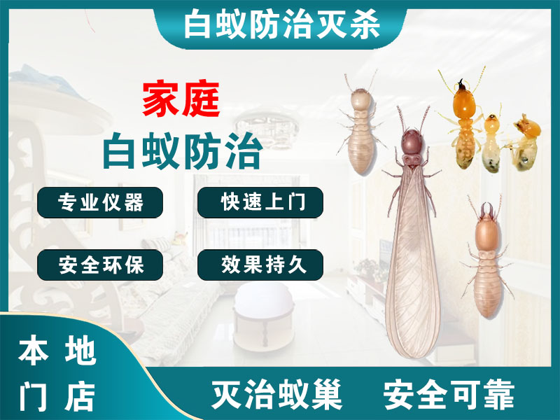 宜兴市家庭白蚁防治