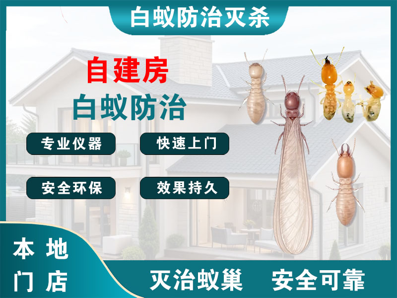 宜兴市自建房白蚁防治