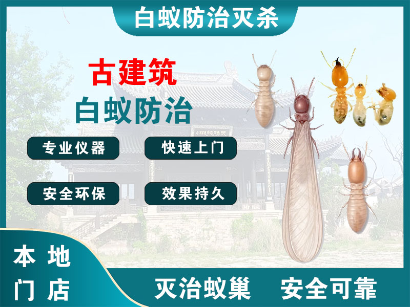 宜兴市古建筑白蚁防治