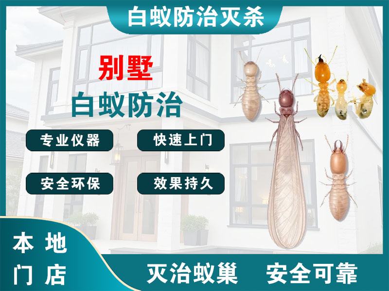 宜兴市别墅白蚁防治