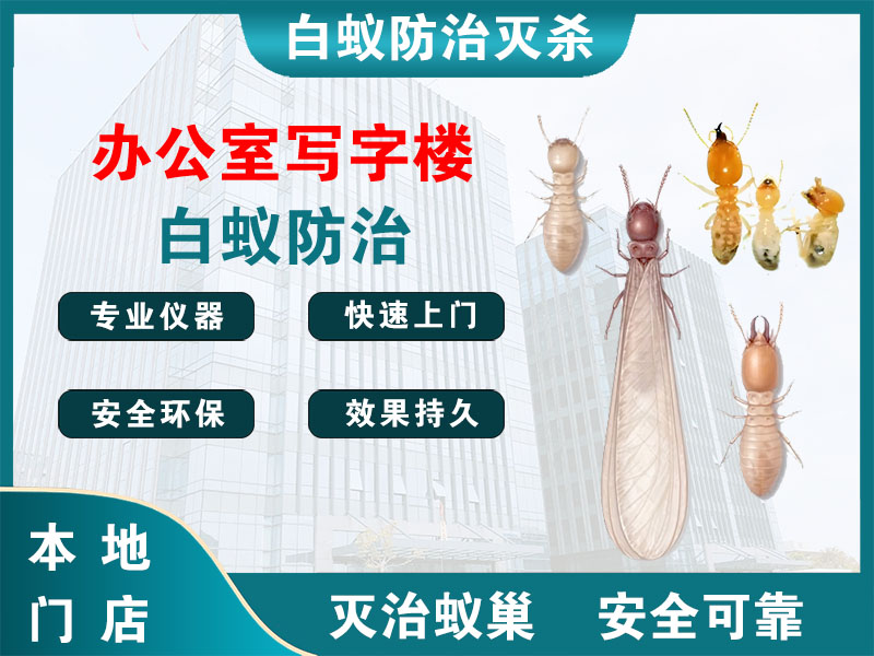 宜兴市办公室写字楼白蚁防治