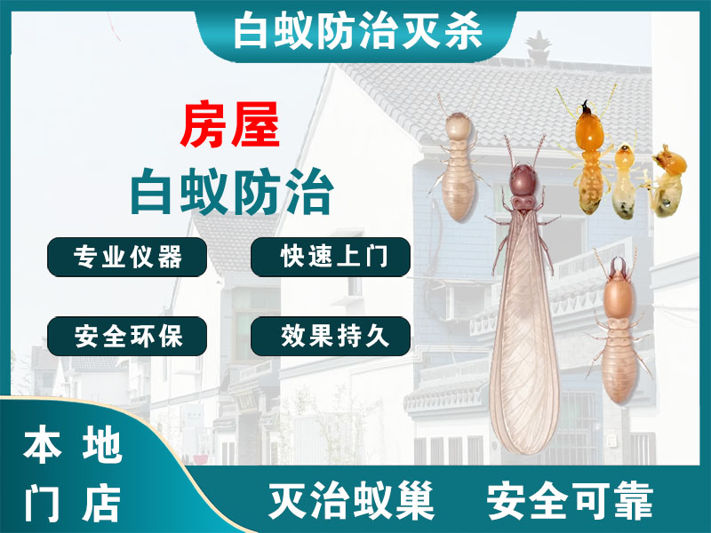 宜兴市房屋白蚁防治